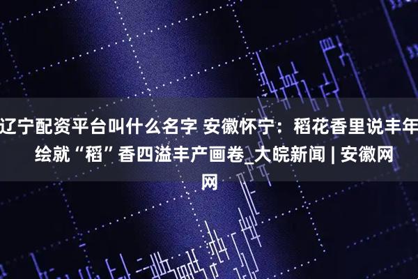 辽宁配资平台叫什么名字 安徽怀宁：稻花香里说丰年  绘就“稻”香四溢丰产画卷_大皖新闻 | 安徽网