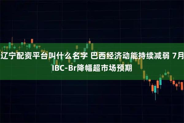 辽宁配资平台叫什么名字 巴西经济动能持续减弱 7月IBC-Br降幅超市场预期